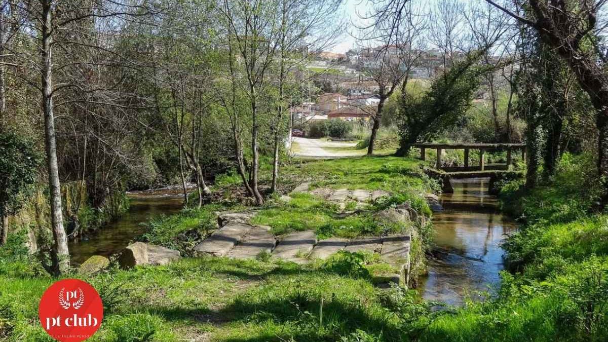 caminhada-trilho-rio-febros-pt-club-family
